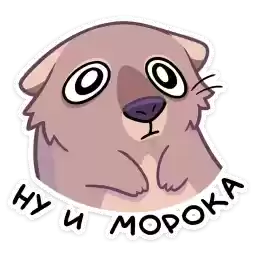shuga_vk