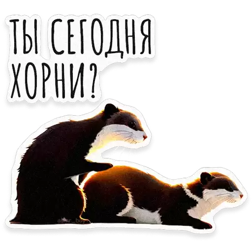 sicilian_otter