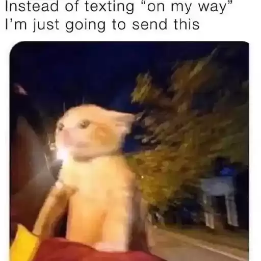 sillylittlecatstickers
