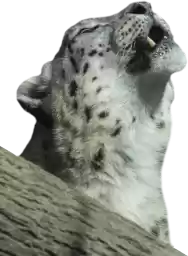 sneplepblep