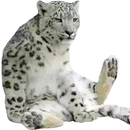sneplepblep