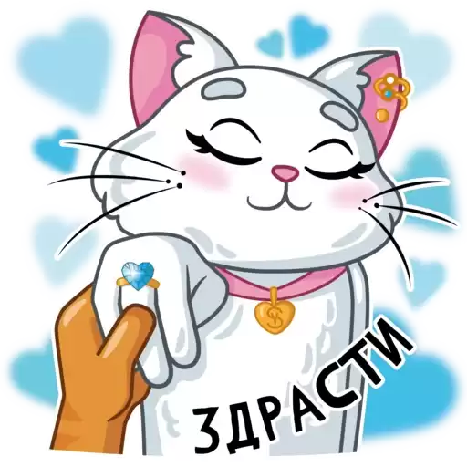 sokolovcat