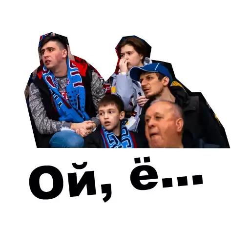 sokolrybin