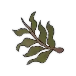 soninoblin