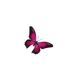 sp09162304d9f81669ece7baac17f79a6d_by_stckrRobot