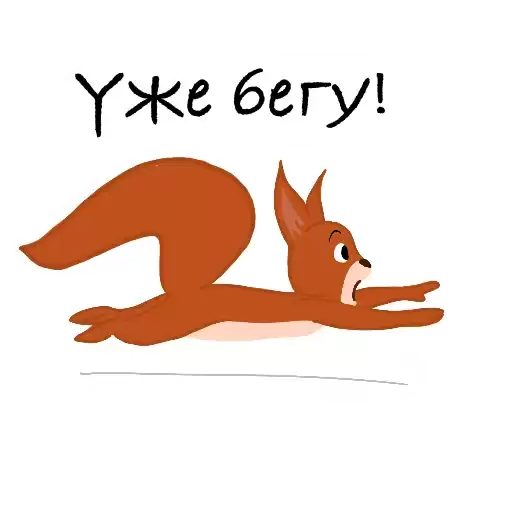 squirrel_university