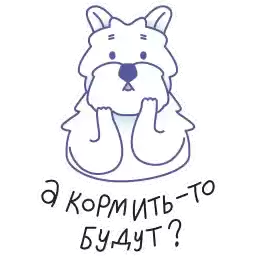 srsly_x_shiba
