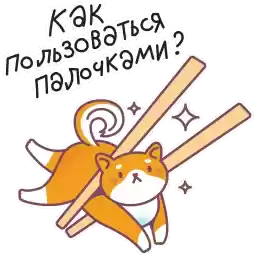 srsly_x_shiba