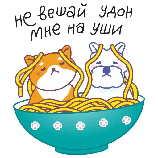 srsly_x_shiba