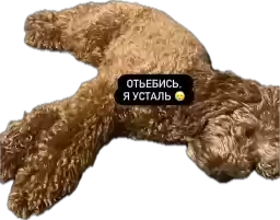 st_goro_kirill
