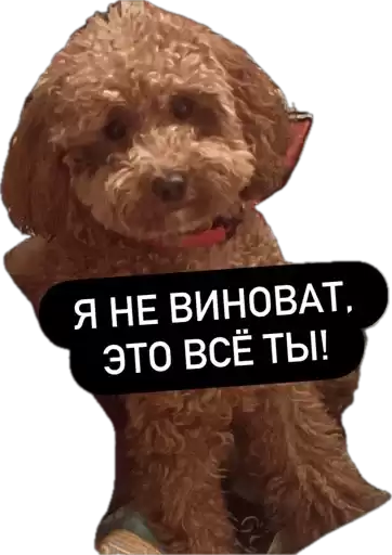 st_goro_kirill