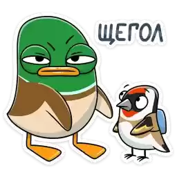 steven_vk