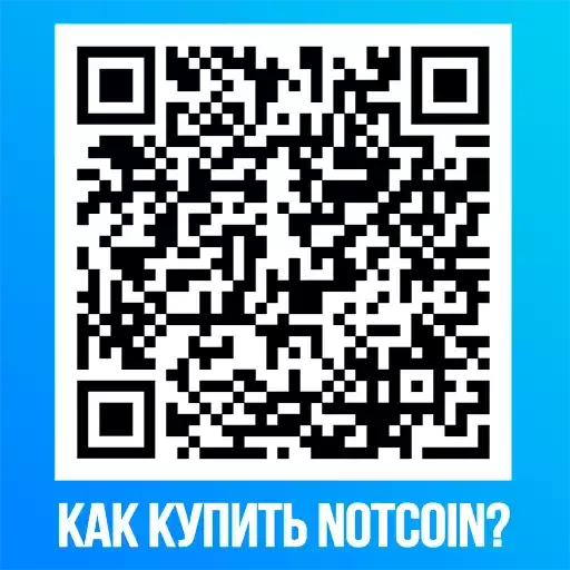 stonfidex_notcoin