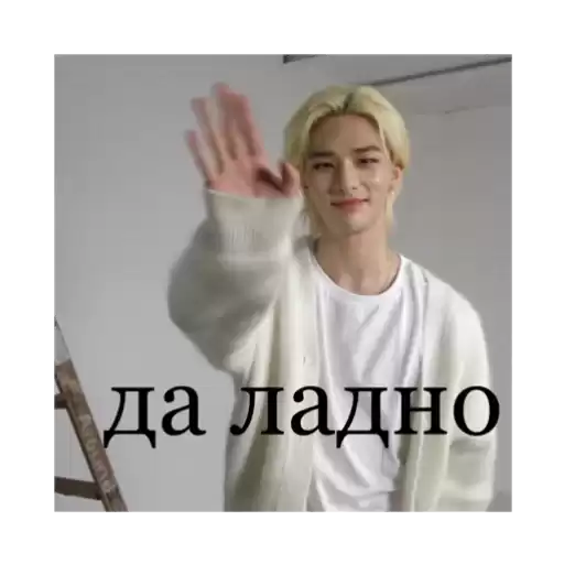 straykidsforyou