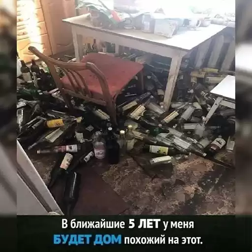 suet44