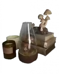 svalkablincore