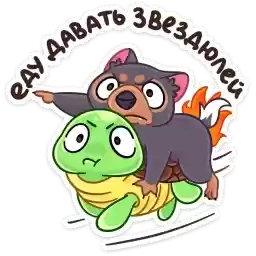 tas_vk