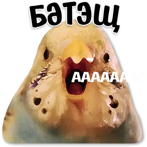 tatar_stickerlar