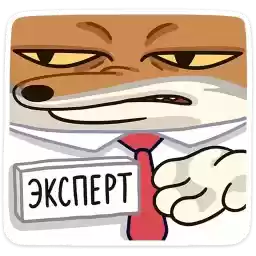 terenty_vk