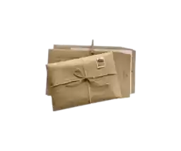 tnstoriibrown_by_fStikBot