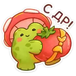 toadstoolvk