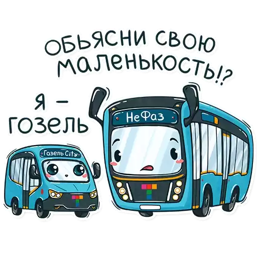 transportspbcom