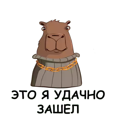 trikolor_kapi