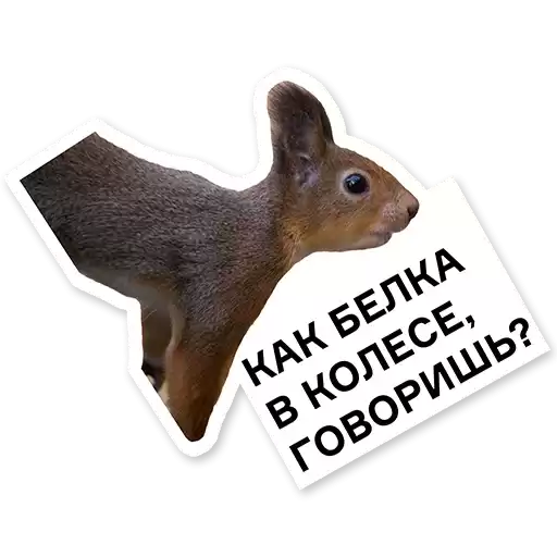 tsaritsynomuseum