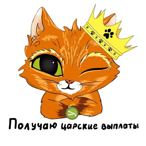 uproshchenka_cat