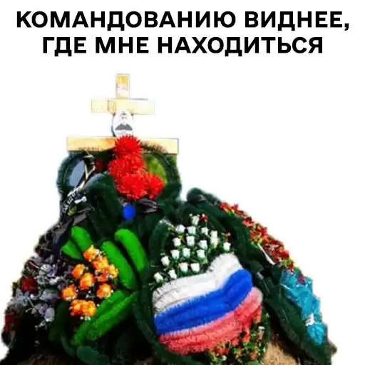 v_plenu_luchshe