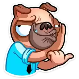 valera_the_pug