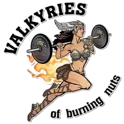 valkyries_by_imant