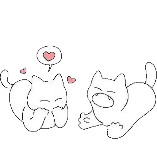 verystupidsillycats