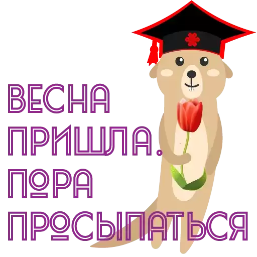 vesna08