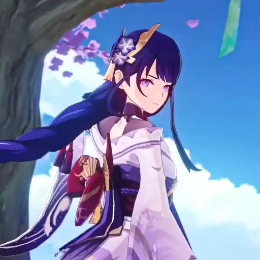 vraidenshogun