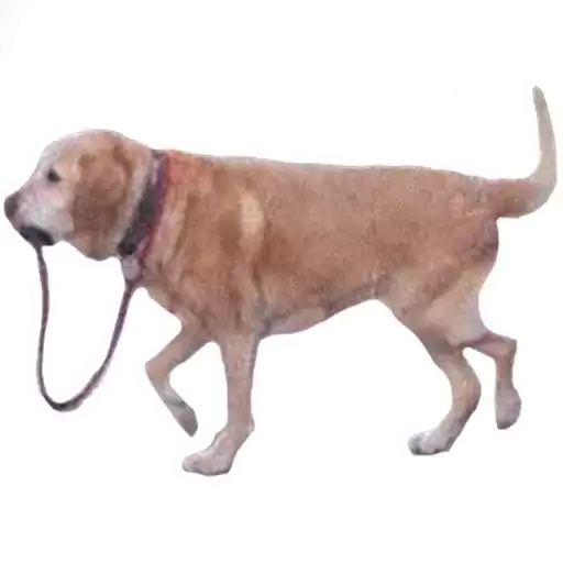 vsratyshi2_0