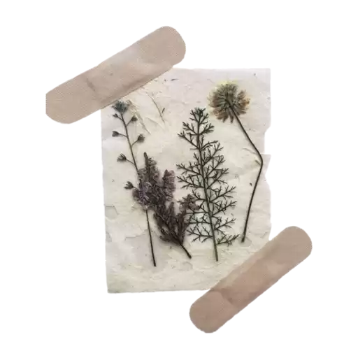 welafiiaesthetic3_by_fStikBot