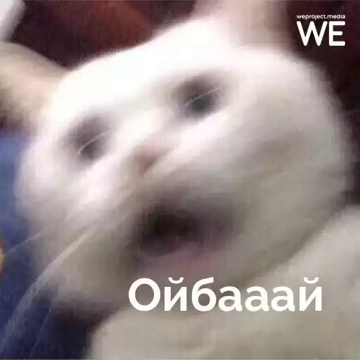 weproject