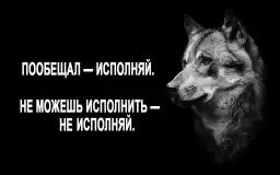 wolf_wisdom