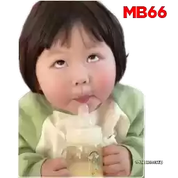 yaoyamb66