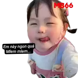 yaoyamb66