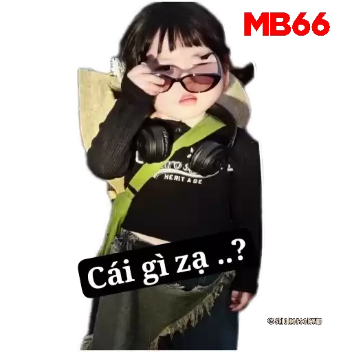 yaoyamb66