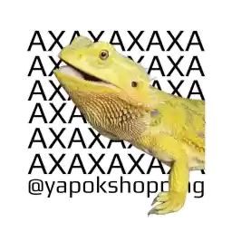 yapokshopping1