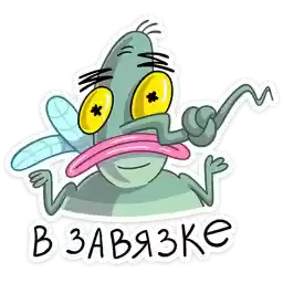 yarik_the_mosquito