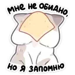 yogyrt_vk