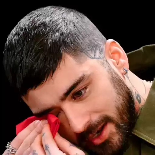 zaynforhotones