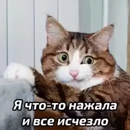 zhenskiyhumor