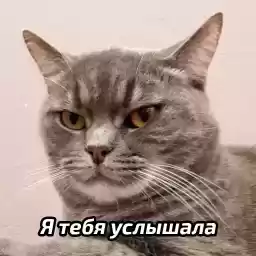 zhenskiyhumor
