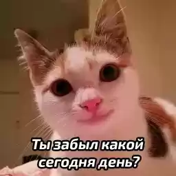 zhenskiyhumor