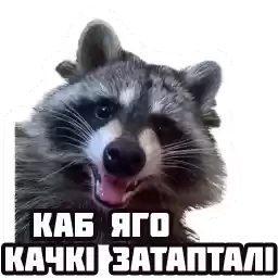 zyvelakaza
